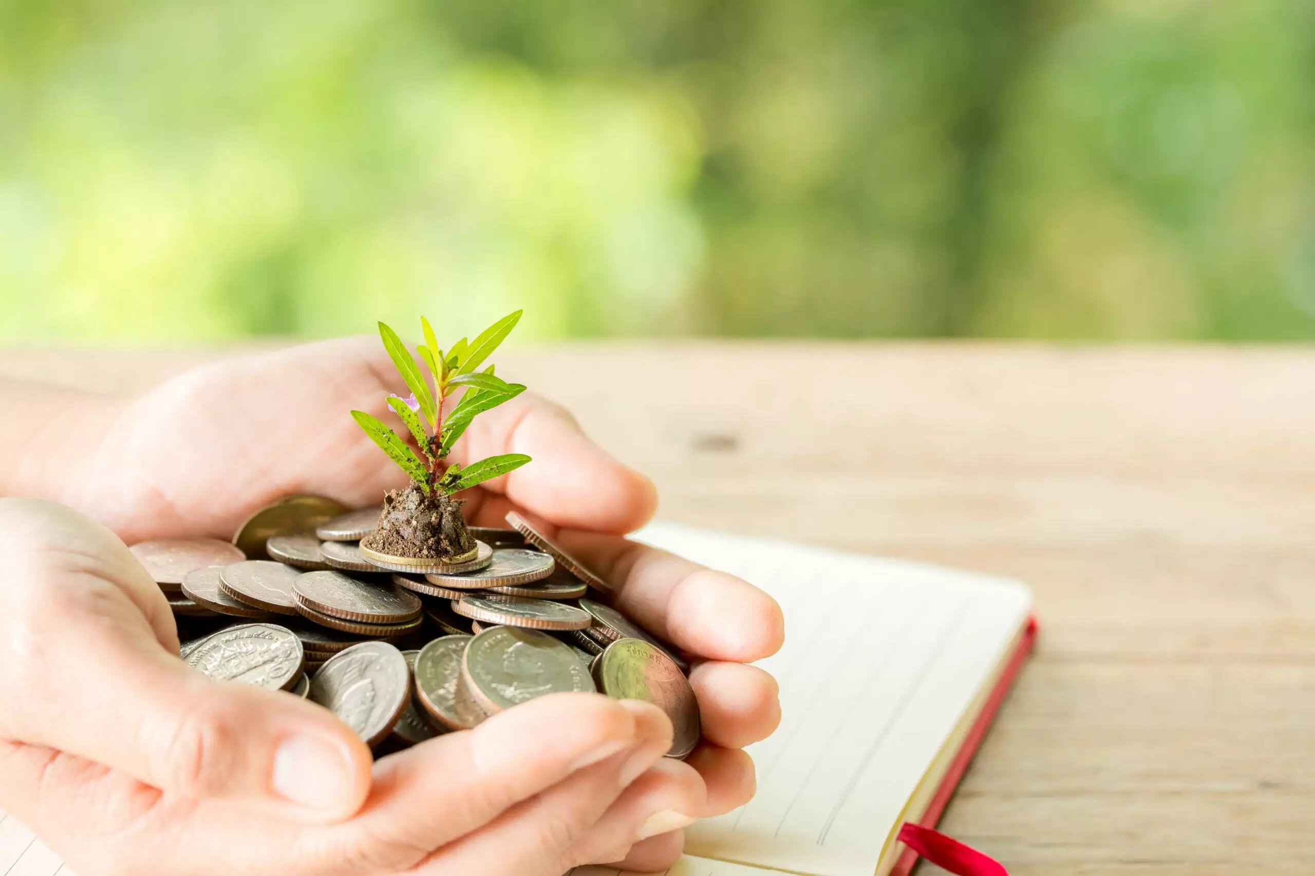 Hands cupping coins with a small plant on a notebook